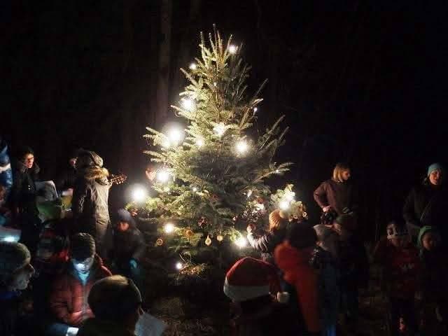 Wir feiern Waldweihnacht ab 2,5 bis 8 J
